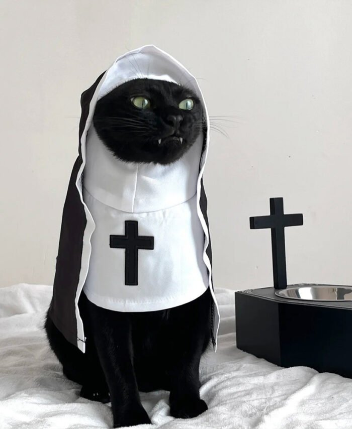 Cat and Dog Dress Funny Photo Props Clothing